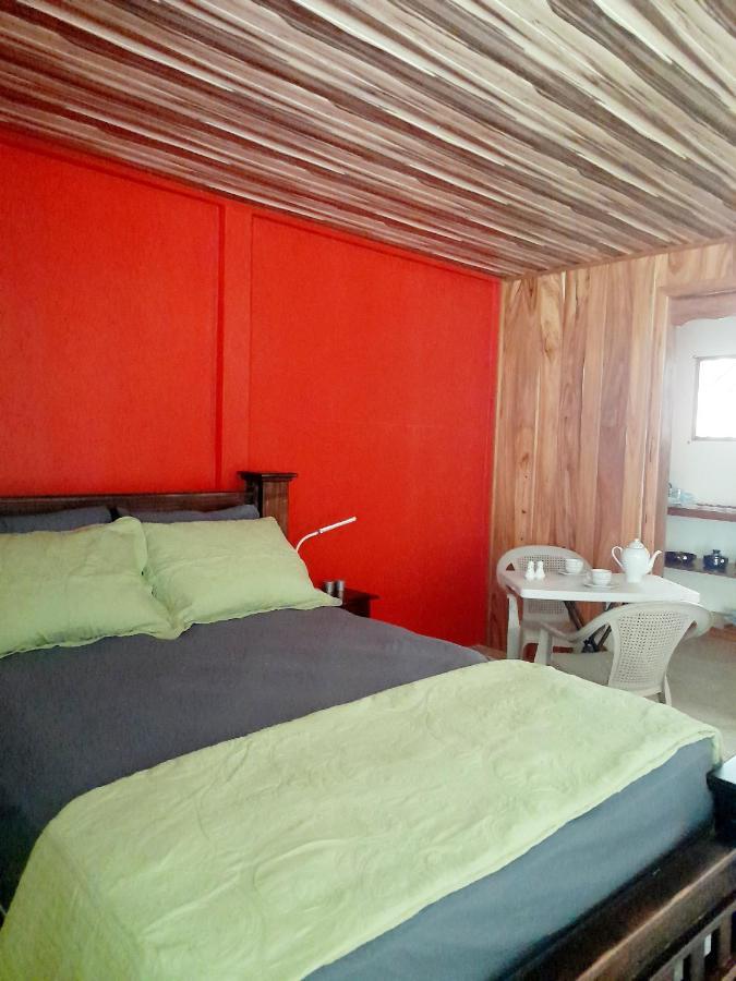 Hostel Osa Tucan Drake Drakes Bay Cameră foto